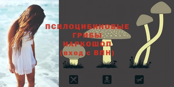 бутират Алексеевка